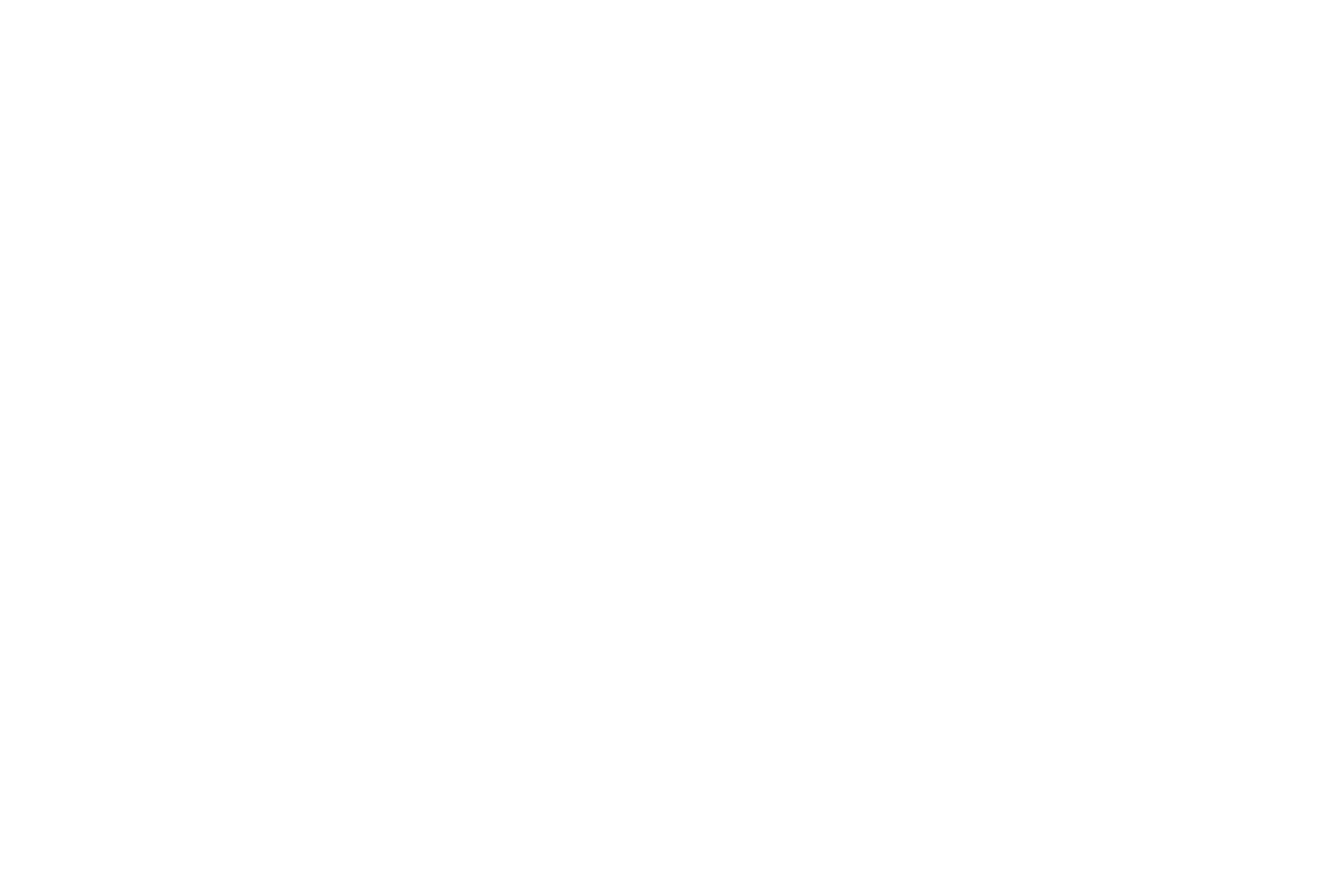 Sabine Henzing Fotografie